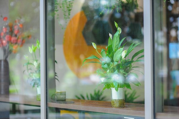 Quelles sont les techniques de méditation utiles pour gérer le stress dans les métiers de la finance?