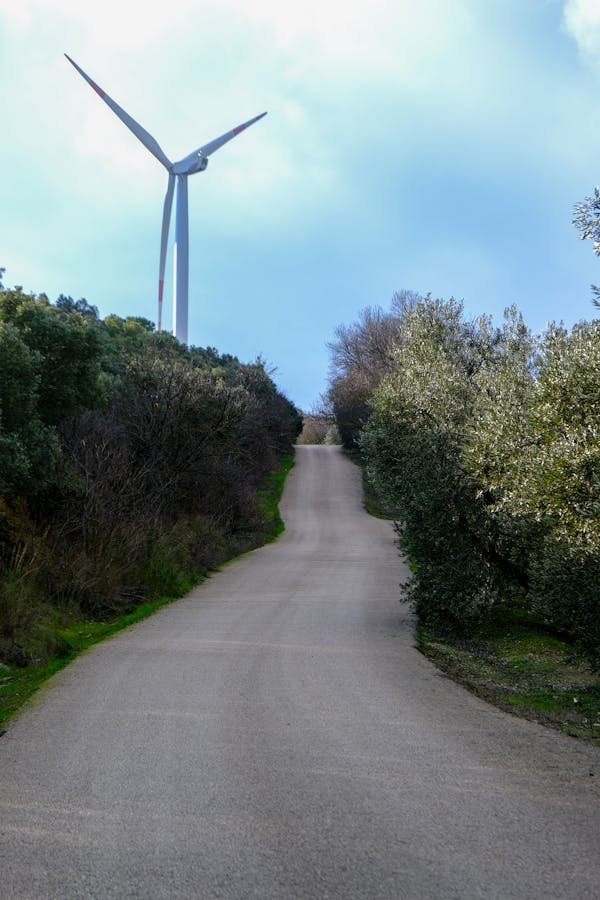 Avis cap soleil energie : témoignages sur leurs installations